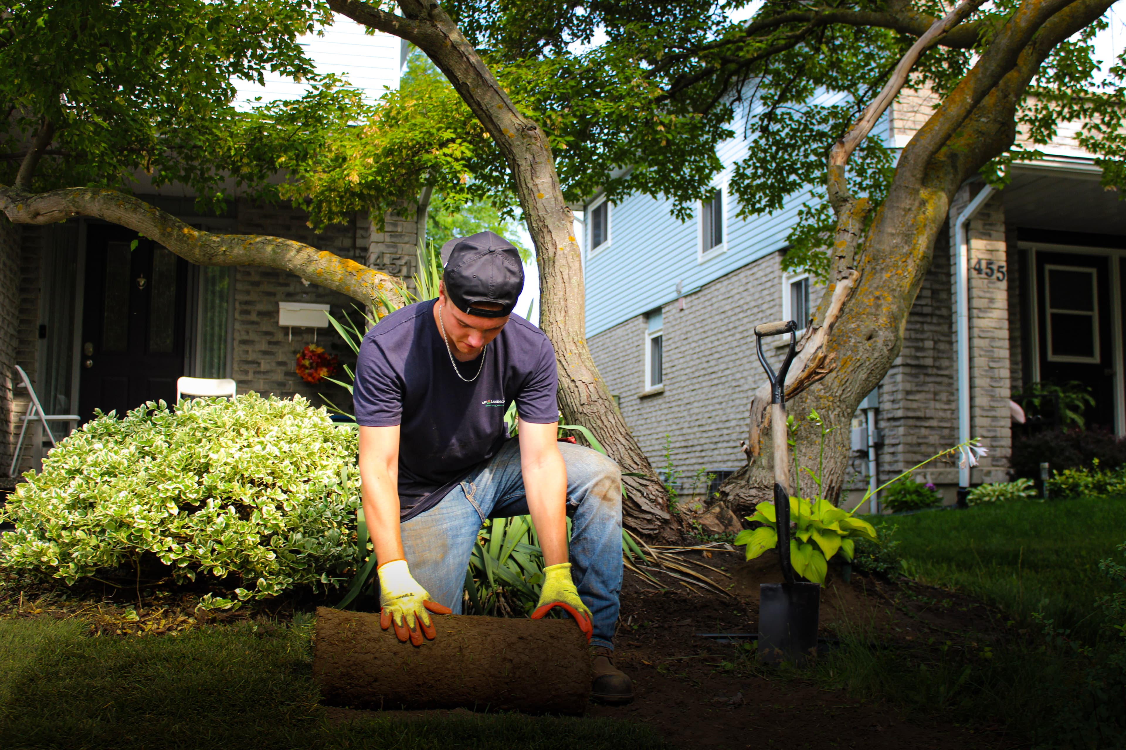 A landscaped backyard with a green lawn and garden beds
